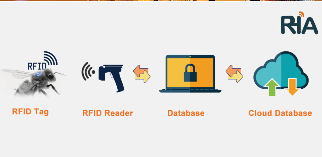 rfid technology for animal tracking